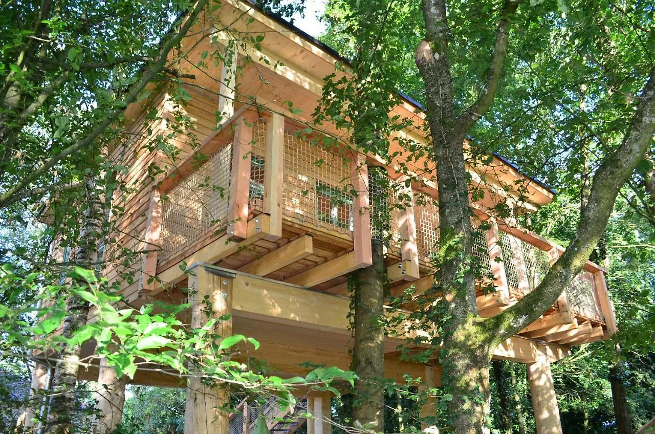 Mainbaumhaus Daire Lengfurt